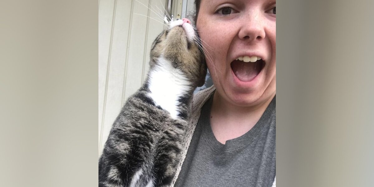 Stray Cat Shows Up On Porch — And Finds His Forever Family