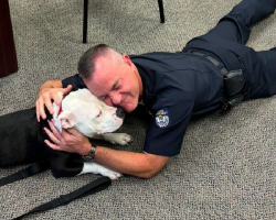 Shelter Pup’s “One-Day Visit” To Police Department Turns Into a Forever Job