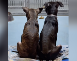 ‘Twin’ Brothers On Death Row Get A Second Chance — Just Hours Before It Was Too Late