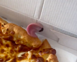 Couple Opens Pizza Box — And Finds The Cutest “Topping” Ever