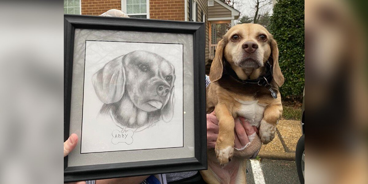 Senior Dog Arrives At Shelter With All Her Belongings — Even A Portrait