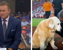 Sportscaster Breaks Down Honoring His Best Friend And Beloved Dog