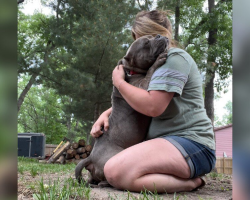 Shelter Dog Can’t Stop Hugging The Woman Who Gave Him A Second Chance
