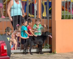 Dog Visits Preschool Every Day To Teach Kids The Purest Lesson