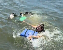 Boaters Spot Struggling Osprey In Lake — And Risk Everything To Save Her