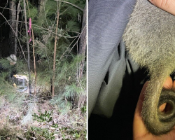 Researchers Overjoyed After Spotting an Extremely Rare Baby Hiding in the Dark