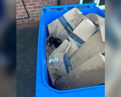 Trash Collectors Stop In Their Tracks When They See Something Moving Inside The Bin