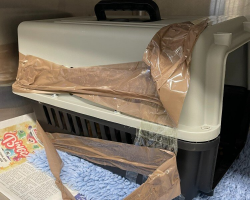 Taped-Up Pet Carrier Tossed Over Fence Holds The Sweetest Surprise Inside