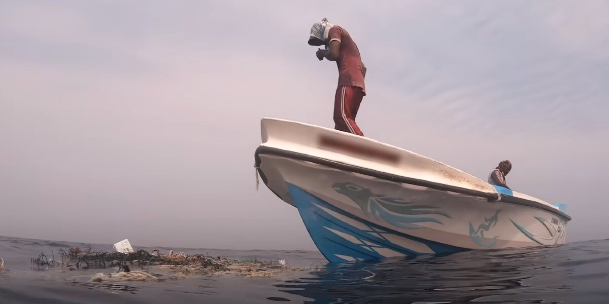 Whale Watching Tour Spots Floating Trash — With a Turtle Trapped Inside