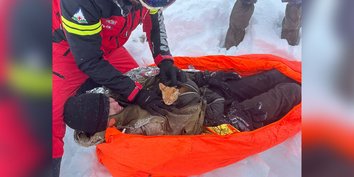 ‘Miracle’ Kitten Refuses To Leave Her Human — And Ends Up Saving His Life