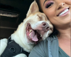 Dog Minutes From Euthanasia Can’t Stop Smiling When He Realizes He’s Finally Safe