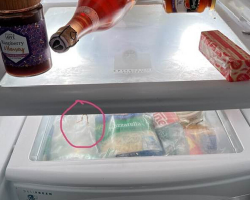 Woman Cleans Out Her Smelly Fridge — And Ends Up Saving A Tiny Life She Never Knew Was There