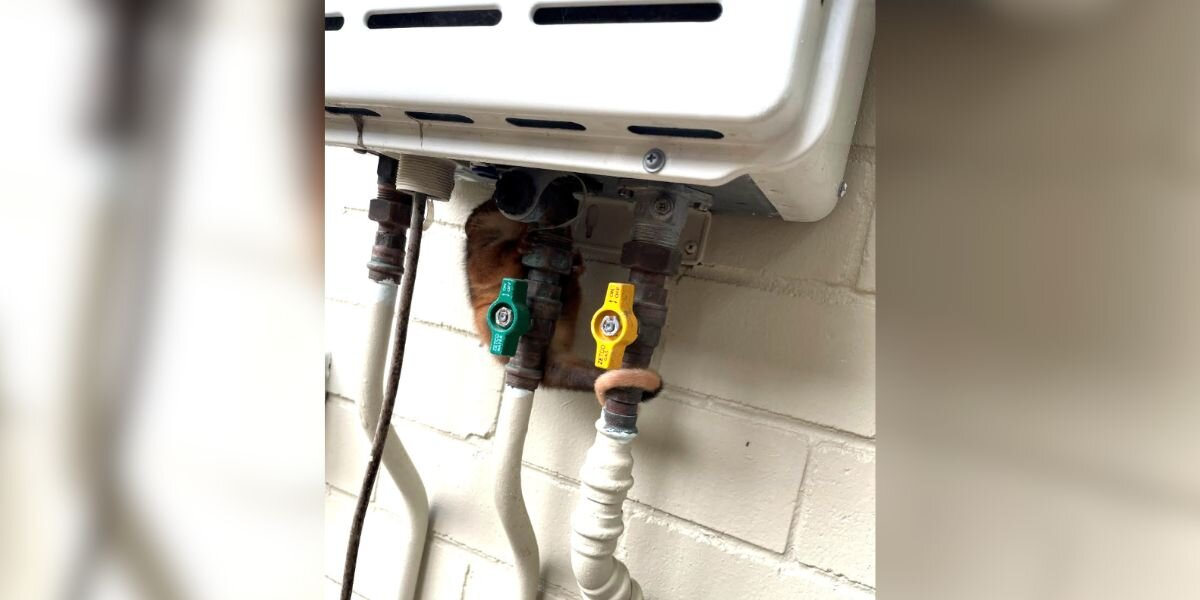 Scared Little Baby Clings To Water Heater, Hoping His Mom Will Come Back