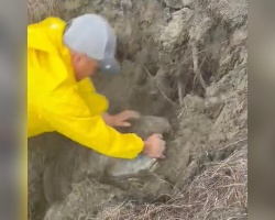Rescuers Race To Save Giant Sea Turtle Buried Alive On The Beach