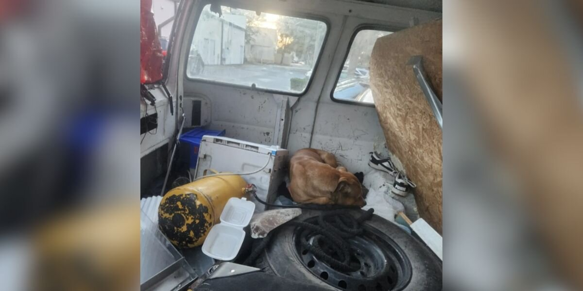 Restaurant Worker Spots Abandoned Van — Then Realizes Someone Helpless Is Trapped Inside