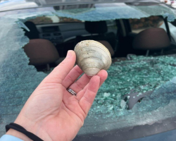 Bakery Owner Finds Car Window Smashed — Then Learns The Hilarious Real Reason Why