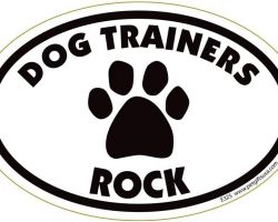 12 Thoughtful Thank-You Gifts Your Dog Trainer Will Absolutely Love