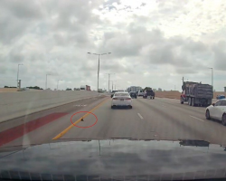 Driver Slams On Brakes When He Realizes The ‘Black Speck’ On The Highway Is Alive