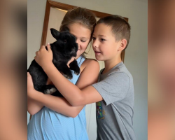 Family Moves Into New Home — And Wakes Up To The Sweetest Surprise In Their Bedroom