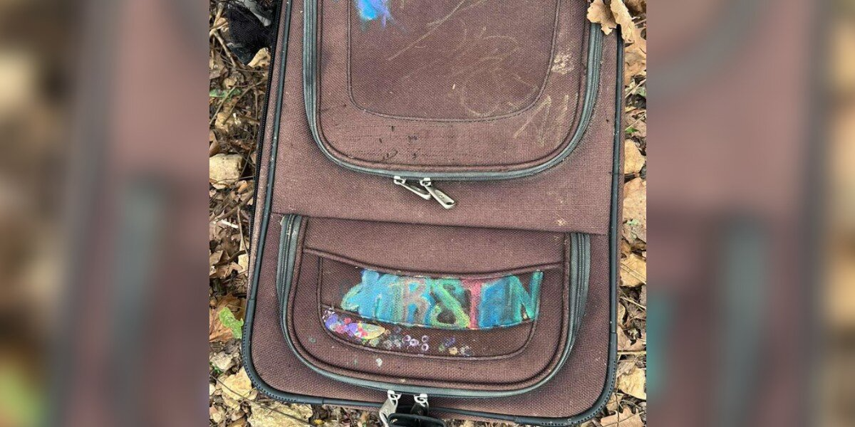Driver Opens Abandoned Suitcase On Highway Shoulder — Finds 4 Tiny Puppies Stuffed Inside