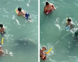 Family Has No Idea Who’s Swimming Just Inches Away From Them