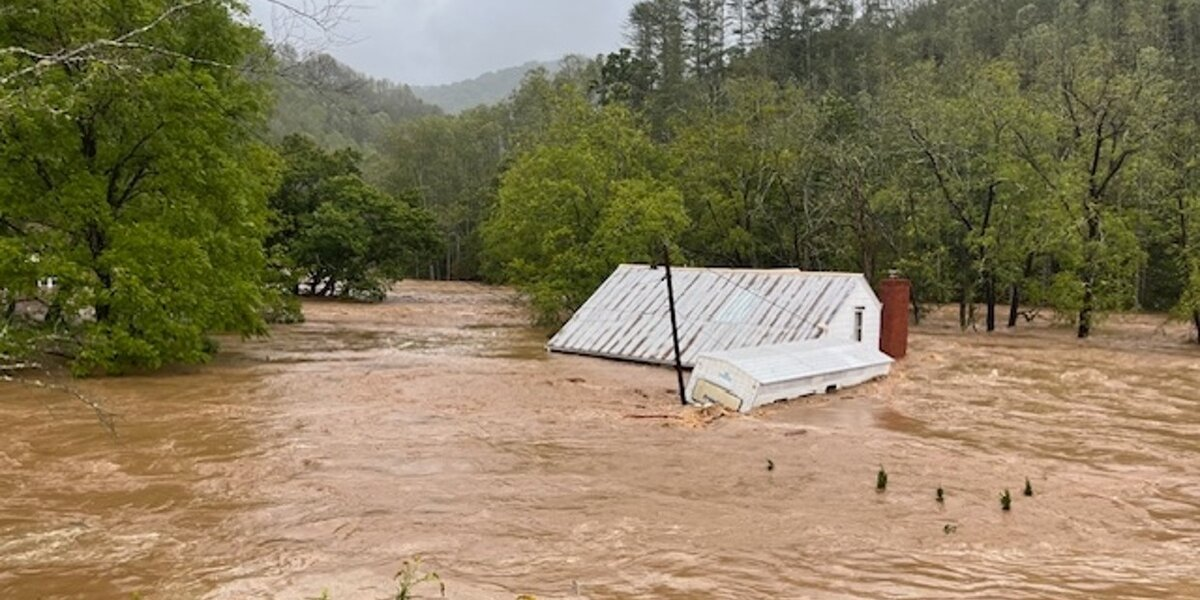 Family Watches In Shock As Their Cat Drifts Away During Devastating Flood — Then A Miracle Happens