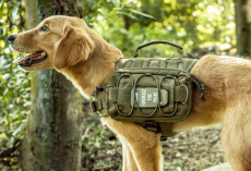 The 5 Best Dog Backpacks for Hiking and Camping (Dog Saddlebags That Actually Work)