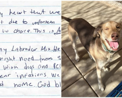 Dog Left Waiting In Parking Lot With Note That Breaks Everyone’s Heart