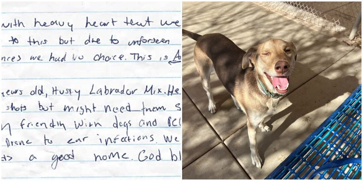 Dog Left Waiting In Parking Lot With Note That Breaks Everyone’s Heart