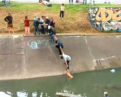 Neighbors Restore Faith In Humanity By Forming Human Chain To Save Dog From Canal