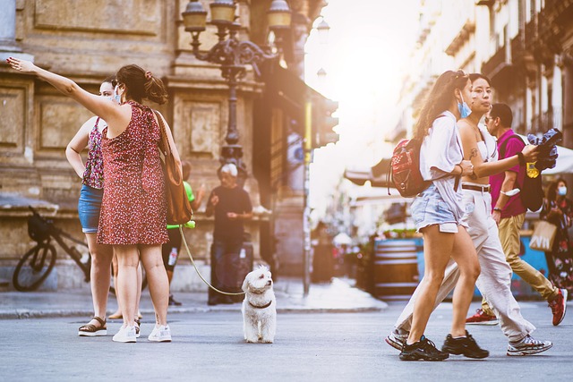 How Hot Is Too Hot to Walk Your Dog? What Every Pet Parent Should Know