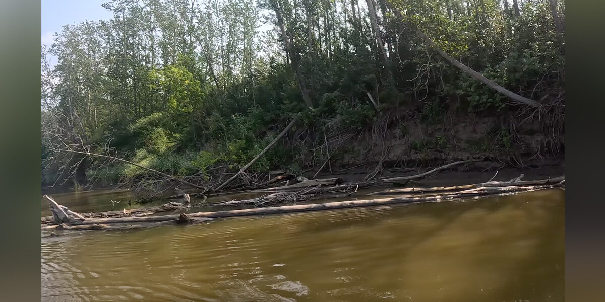 Man Canoeing Down River Hears Whimpers — Then Sees A Dog Stuck In The Mud