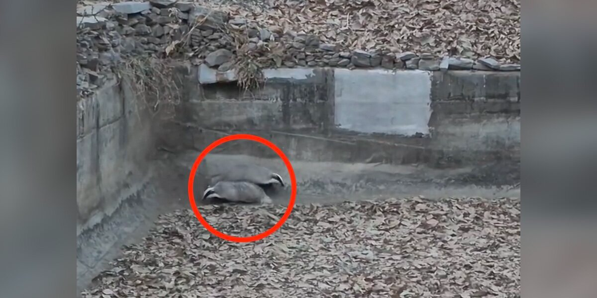 Hikers Spot ‘Something Wrong’ In An Abandoned Reservoir — And Realize Two Lives Depend On Them