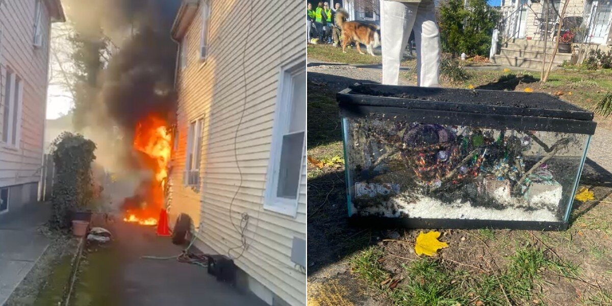 As Flames Tore Through Her Bedroom, Firefighters Emerged With A Burned Cage — And A Miracle Inside