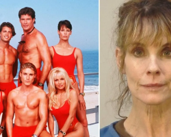 Baywatch icon arrested after freeing beagles from lab breeders