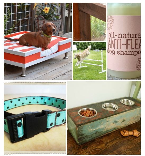 16 Super Cool Totally Do-Able DIY Dog Projects