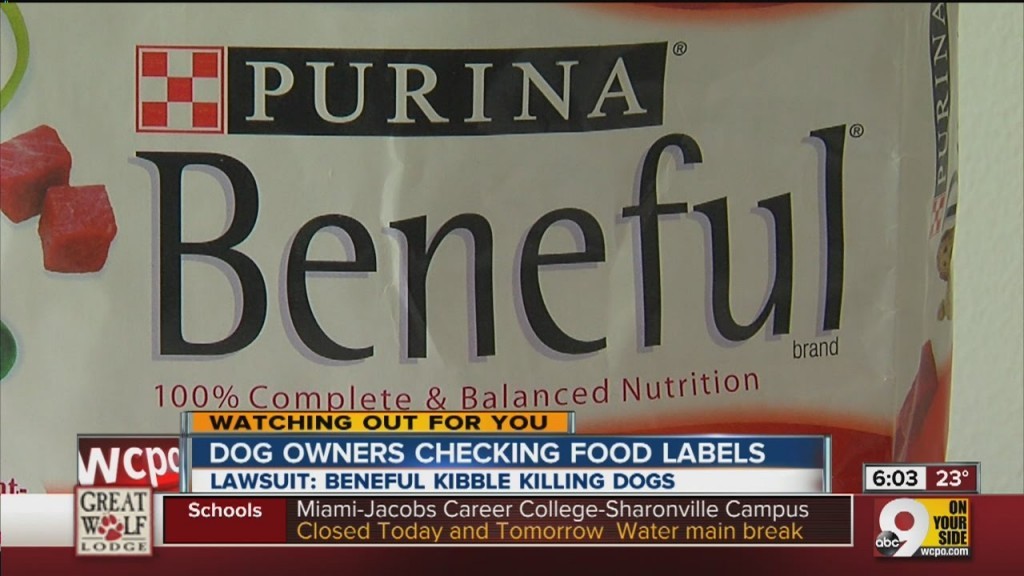 Lawsuit Claims Purina's Popular Beneful Dog Food Is Hurting And Killing