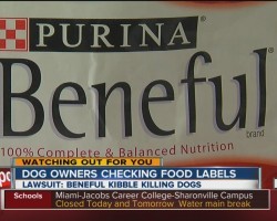 Lawsuit Claims Purina’s Popular Beneful Dog Food Is Hurting And Killing Dogs