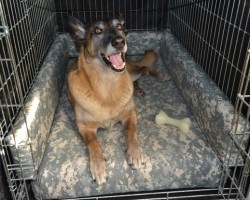 Super Comfy DIY Dog Kennel Bed