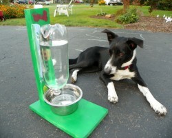 The Awesomest Coolest Easiest DIY Pet Water Bowl for DOGS & CATS!