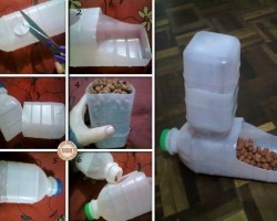 Easy To Make DIY Plastic Bottle Pet Feeder