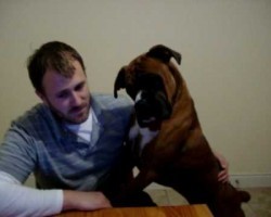 Boxer Discovers YouTube. His Reaction Is Hilarious!