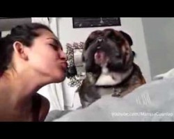 Dogs And Cats Who Hate Kisses