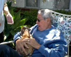 Grandpa Surprise Gift… A Wrinkly, Little English Bulldog Puppy!!