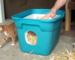 How to Build a Feral Cat Shelter