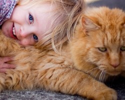 8 Reasons Why Every Kid Needs A Pet