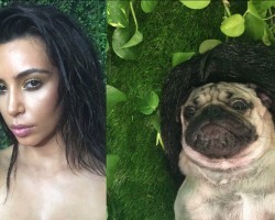 Behind-the-Scenes Look At Doug the Pug’s Epic Kim Kardashian Photoshoot