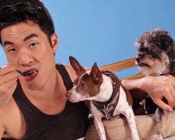 People Try Dog Food For The First Time. Here’s Their PRICELESS Reaction.