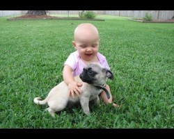 [VIDEO] This Funny Pug and Baby Video Compilation Will Make Your Day!