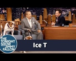 Ice T Brings His Bulldogs to The Tonight Show with Jimmy Fallon.. and it’s Thugnificient!